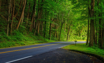 Картинка природа дороги тракт