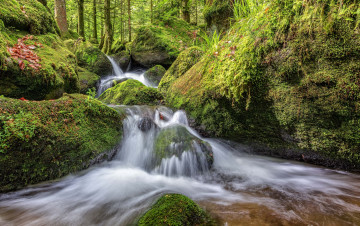 Картинка природа водопады водопад река лес
