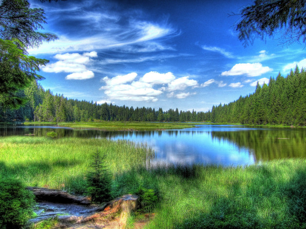 Обои картинки фото природа, реки, озера, река, лес