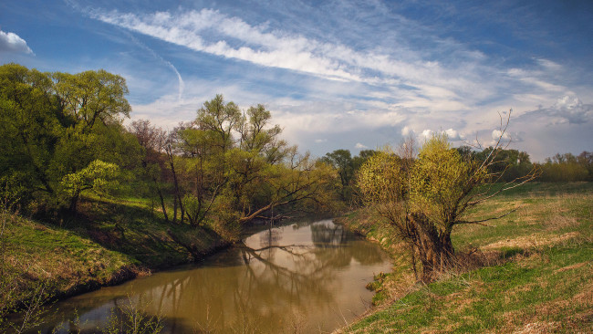 Обои картинки фото природа, реки, озера, река, лес