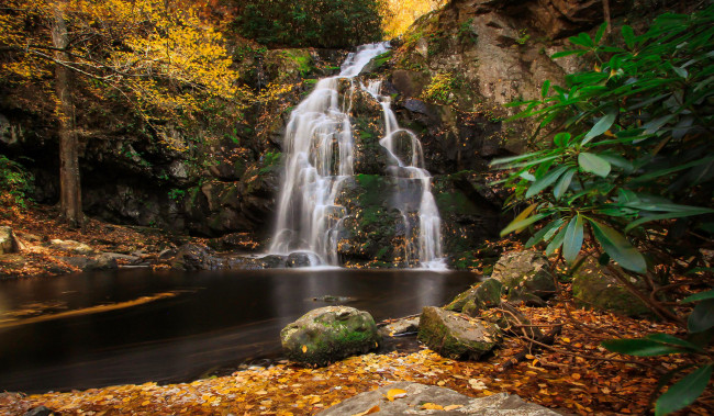 Обои картинки фото природа, водопады, водопад, река, лес