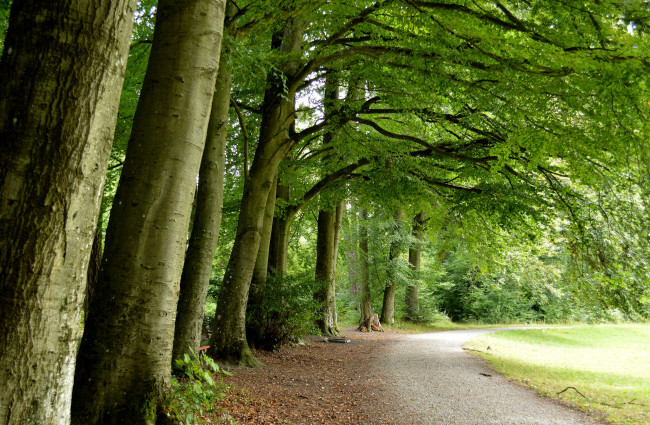 Обои картинки фото природа, дороги, тракт