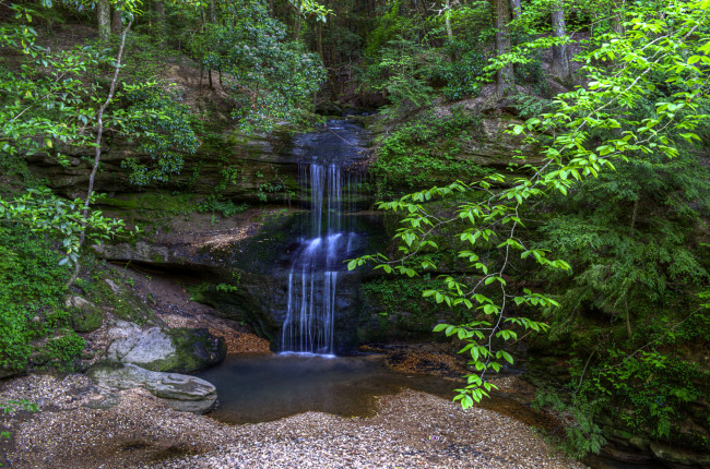 Обои картинки фото природа, водопады, водопад, река, лес