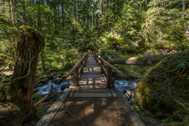 Обои картинки фото природа, дороги, тракт