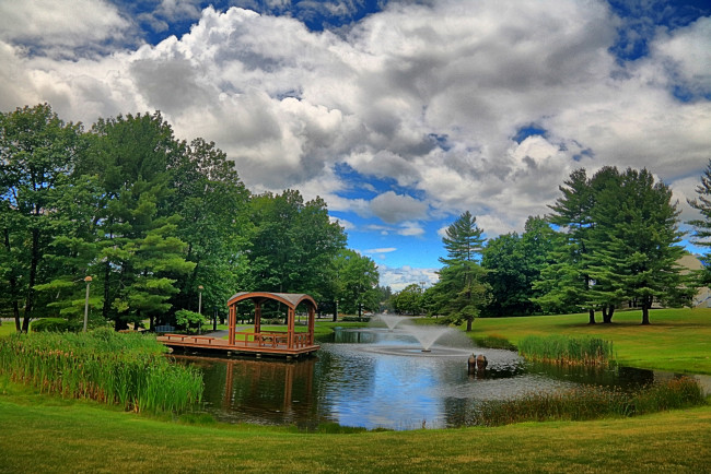 Обои картинки фото природа, парк, лес, река