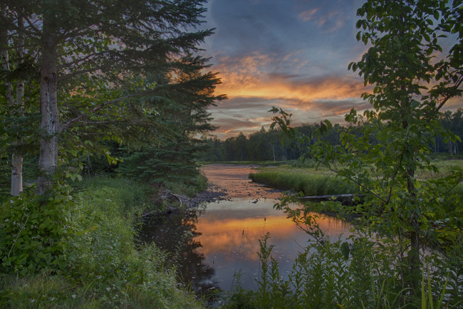 Обои картинки фото природа, реки, озера, лес, река