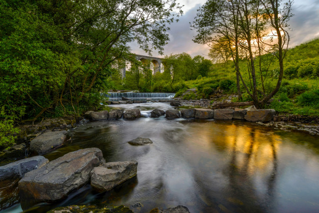 Обои картинки фото природа, реки, озера, лес, река