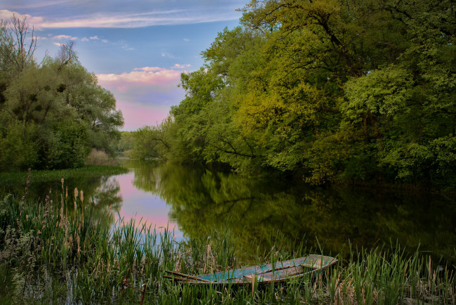 Обои картинки фото природа, реки, озера, река, лес