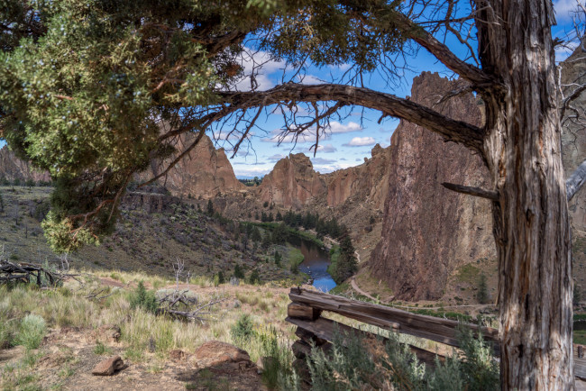 Обои картинки фото природа, реки, озера, река, лес