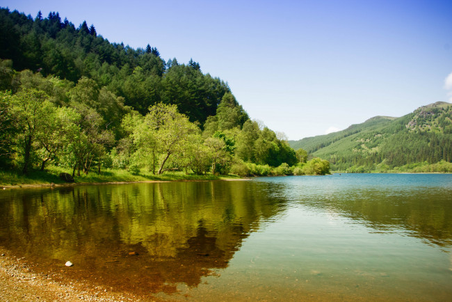 Обои картинки фото природа, реки, озера, река, лес