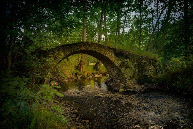 Обои картинки фото природа, реки, озера, река, лес