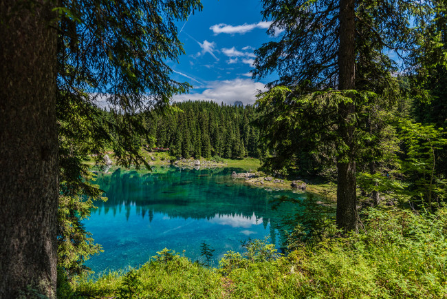 Обои картинки фото природа, реки, озера, река, лес