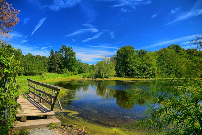 Обои картинки фото природа, реки, озера, река, лес