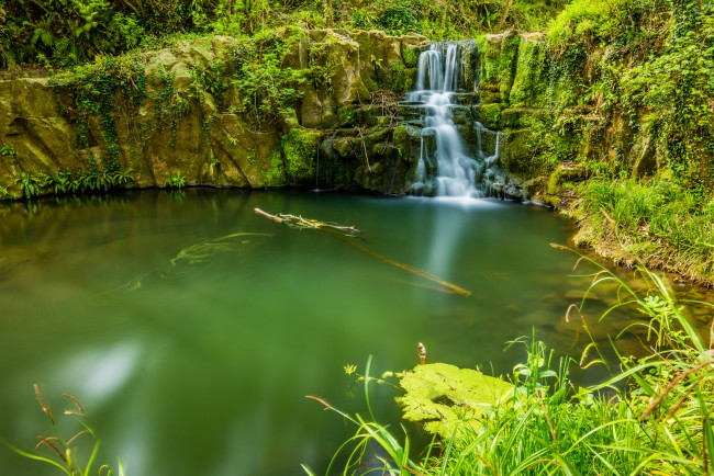 Обои картинки фото природа, водопады, лес, река, водопад