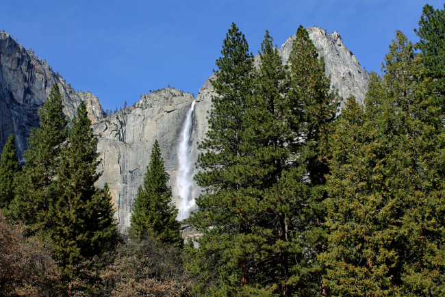 Обои картинки фото природа, водопады, водопад, река, лес