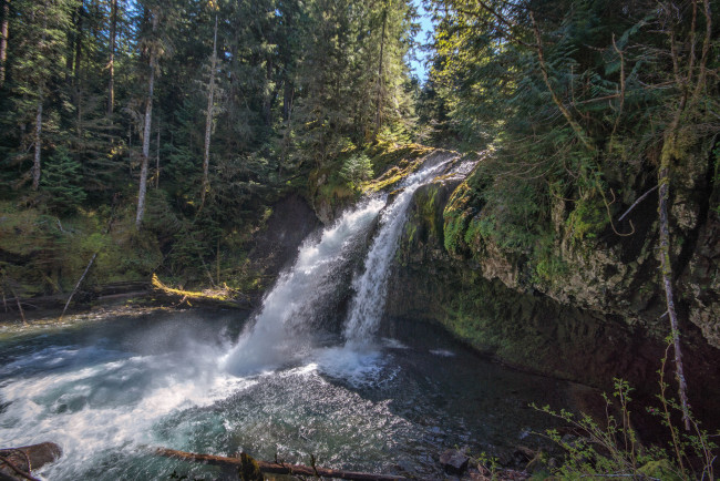 Обои картинки фото природа, водопады, водопад, река, лес