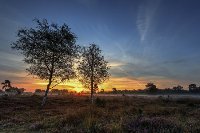 Обои картинки фото природа, восходы, закаты, рассвет