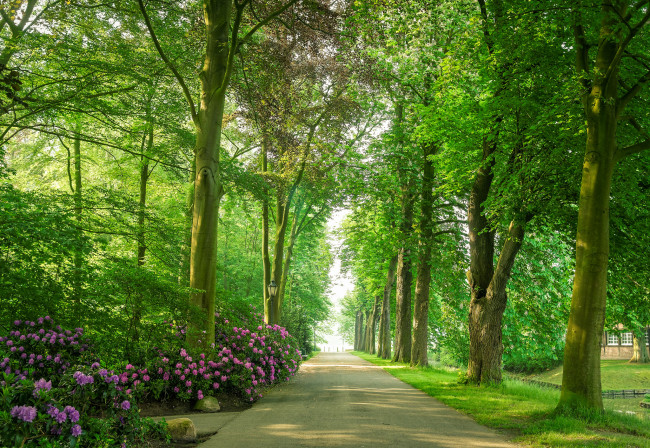 Обои картинки фото природа, дороги, тракт