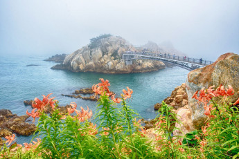 Картинка природа побережье простор