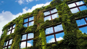 Картинка musee+du+quai+branly города париж+ франция musee du quai branly