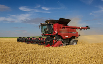 обоя техника, комбайны, уборочная