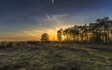 Картинка природа восходы закаты простор