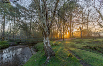 Картинка природа реки озера рассвет