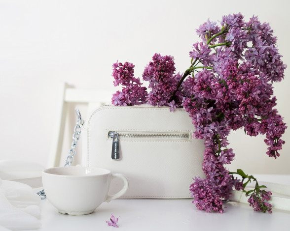 Обои картинки фото цветы, сирень, сумочка, ветка, чашка