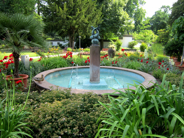 Обои картинки фото природа, парк, пальмы, клумбы, фонтан