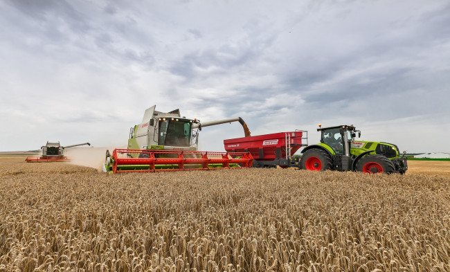 Обои картинки фото техника, комбайны, уборочная