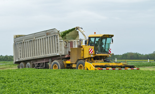 Обои картинки фото техника, комбайны, уборочная