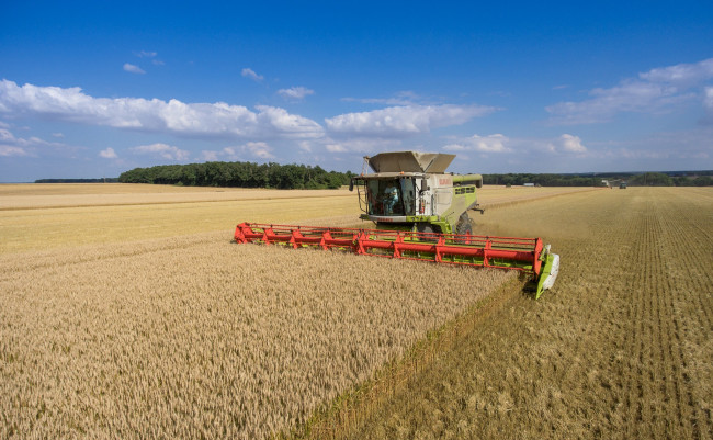 Обои картинки фото техника, комбайны, уборочная