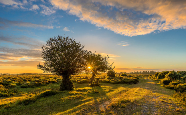 Обои картинки фото природа, восходы, закаты, простор