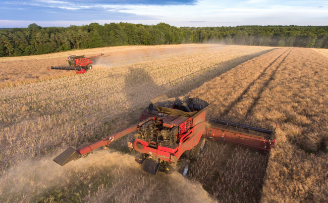 Обои картинки фото техника, комбайны, уборочная