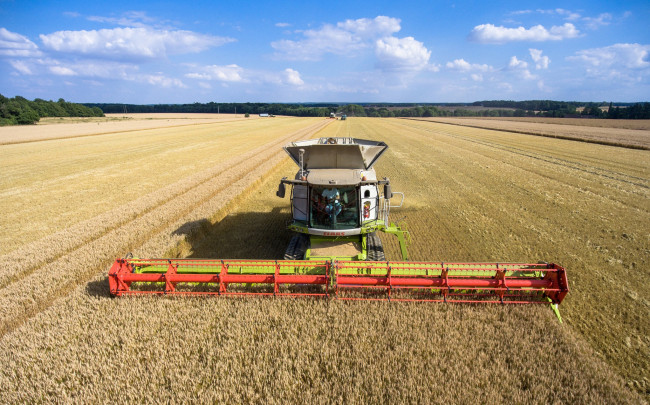 Обои картинки фото техника, комбайны, уборочная