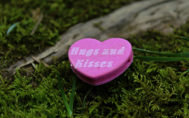 Обои картинки фото праздничные, день святого валентина,  сердечки,  любовь, надпись, сердечко, трава