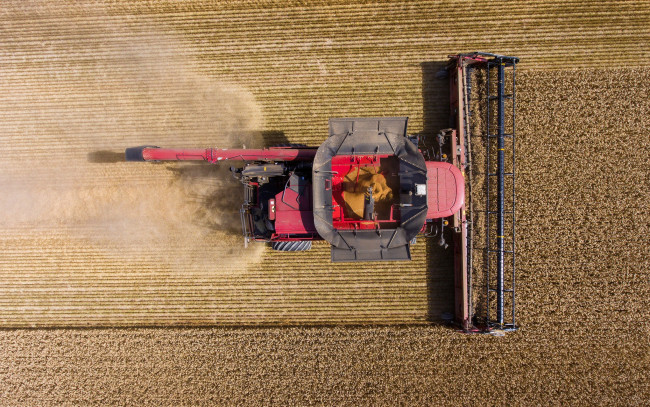 Обои картинки фото техника, комбайны, уборочная