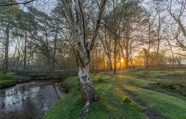 Обои картинки фото природа, реки, озера, рассвет