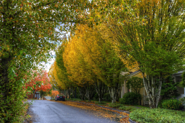 Обои картинки фото природа, дороги, простор