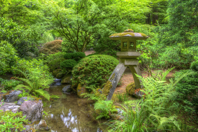 Обои картинки фото природа, парк, флора