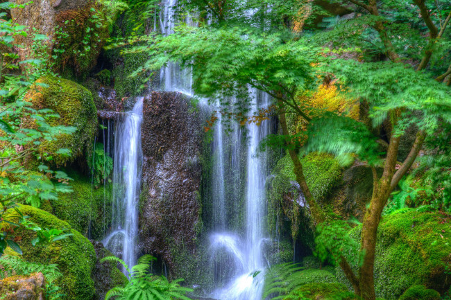 Обои картинки фото природа, водопады, лес, река, водопад