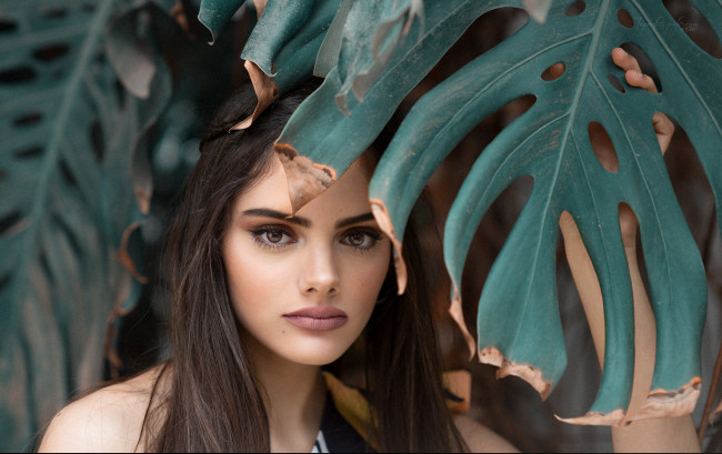 Обои картинки фото девушка, девушки, -unsort , лица,  портреты, rosa, ortega, модель