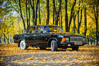 Картинка газ-+3102+волга автомобили газ волга газ- 3102 классика автомобиль седан осень чёрный