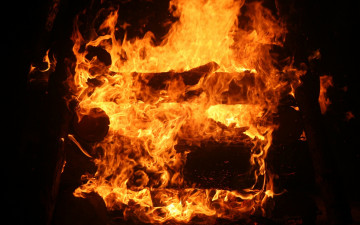 Картинка природа огонь дрова