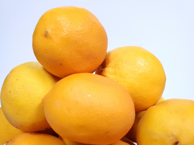 Обои картинки фото еда, цитрусы, лимоны