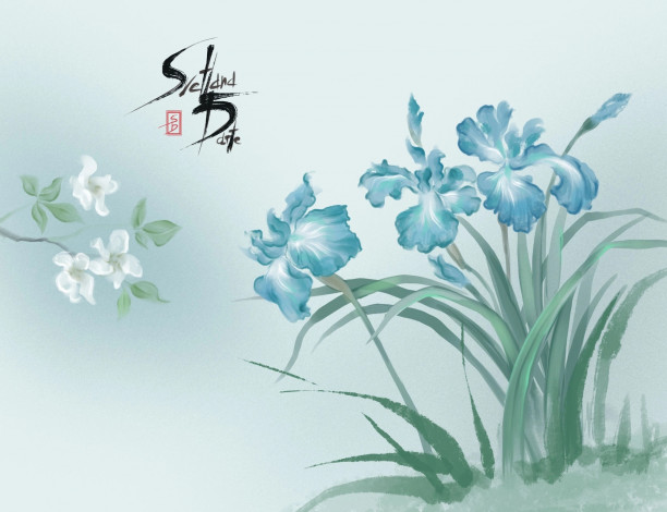 Обои картинки фото рисованное, цветы, ирисы