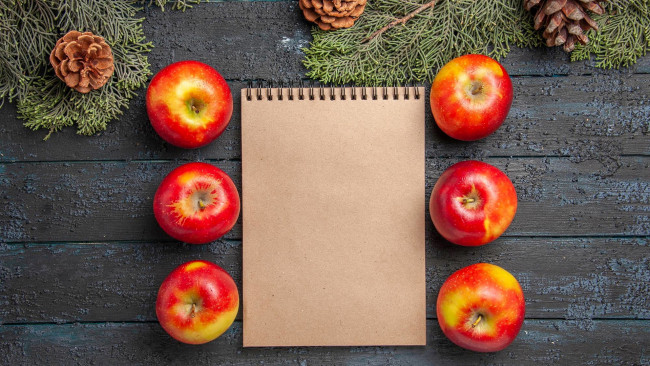 Обои картинки фото еда, яблоки, блокнот, шишки