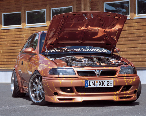 Обои картинки фото автомобили, opel