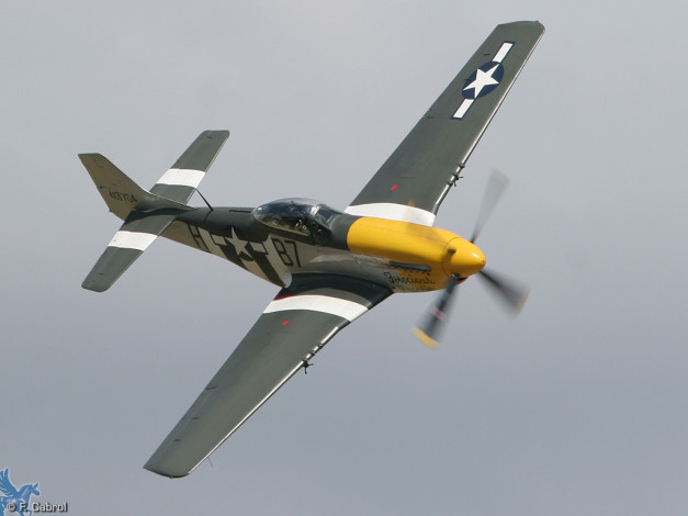 Обои картинки фото авиация, лёгкие, одномоторные, самолёты