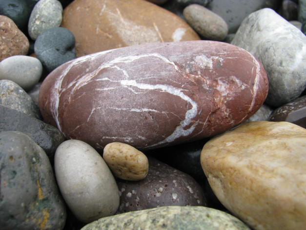 Обои картинки фото 